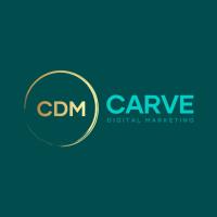 Carve Digital Marketing image 1